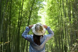 ✔️【7.14】周日“山泉水溯溪”“天然森林空调”宜兴铜官山7km穿越线轻徒步会员特价5折