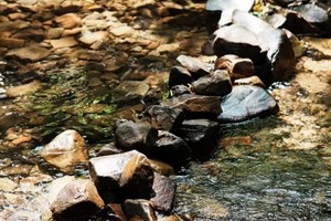 【7.21】周日“山泉水溯溪”“天然森林空调”宜兴铜官山7km穿越线轻徒步 会员报名费5折周