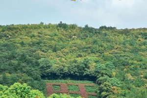 ✔️【9.24】周二“带上麻袋捡板栗”“秋后休闲野采游”苏州旺山7km小环线