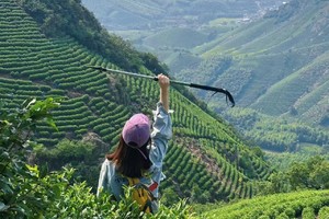 【11.3】周日湖州陆羽古道“绝美抹茶 茶园山”“全程阴凉”“竹海小溪”“溪流相伴”8km精华穿越线