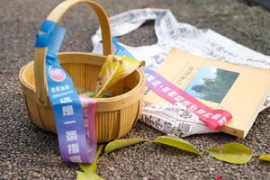 【11.2】周六傍晚双语 city walk 武进电视台推荐“捡秋活动”红梅公园-青果巷-常州购物中心-萨洛蒙首店