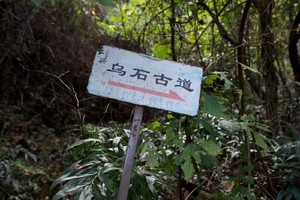 【11.9】周六宜兴乌石古道“千万年乌石浪”“竹海秘境”“山顶茶山绿海”8km轻徒步