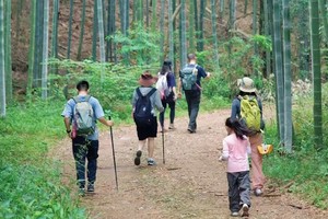 【11.16】周六宜兴铜官山“溪流竹林秘境”“纯野路盛宴”“寻觅野生竹荪蛋”7km轻徒步穿越线