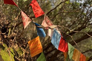 【11.24】周日宜兴“秘境三洲古道”“山顶千年银杏树”“一脚跨三省”8km野穿环线