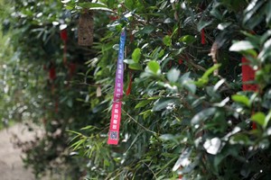 【12.1】周日无锡状元古道“一小时车程便捷”“纯野路轻徒步”“会员月初半折活动”7km轻徒步小环线