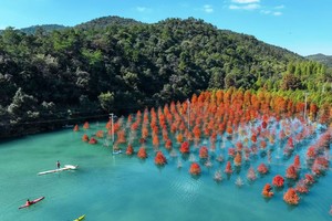 华泰证券【团建定制】  浙江川步溪流/观“小九寨沟”3km小环线+经典老店20年农家菜