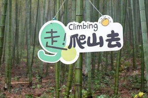 【1.1周三】宜兴“铜官山百人登高挑战招募”“醉美山野盘山公路”“会员新年香炉峰登高”13km轻徒步