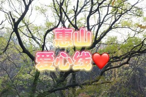 【1.5周日】无锡惠山“新年登高爱心线”“不会迷路的野山”“偶遇徒友最多的山”轻徒步8km会员半价
