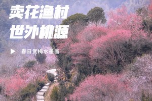 【2.15-2.16周六日】“世外桃源卖花渔村”“皖南云海水墨画”“石潭红梅花开”9km轻徒步