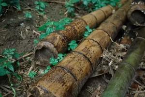 【2.23周日】溧阳松岭古道“听竹林打叶声”“全程野道探险”“清澈溪流相伴”6km治愈轻徒步