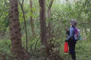 【3.23周日】南京老山“南京绿肺原始森林”“古树参天绿野仙踪”“偶遇老山万米长城”经典路线7km穿越线 满山野葱头