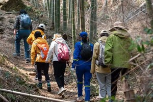 【3.29周六】宜兴乌峰岭“品味江浙茶马古道”“竹林秘境森系大片”“春日茶园观景台”9km