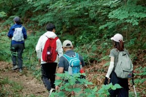 【4.4周五】溧阳瓦屋山“清明踏青祈福线”“春日野菜蕨菜尝鲜”“绿野仙踪溪流相伴”8km穿越线