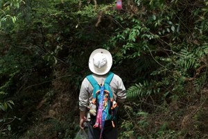 【【5.1-5.2-5.3三天两夜】皖浙巡游“黄山木梨硔梦里古道寻仙记 皖南天宫之城到浙西小三峡游仙姑岛”“反向旅行