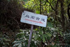 【10.3国庆节】江苏宜兴“千年乌石浪古道”“一脚跨三省经典路线 ”“登顶茶园竹海秘境”8km徒步