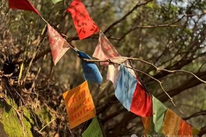 【10.7国庆节】江苏宜兴“秘境小众三洲古道”“枫林竹海千年银杏”“体验一脚跨三省”8km徒步