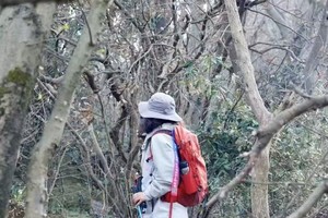 【10.8国庆节】江苏溧阳“会员免费团建活动”“山野拾荒公益徒步”“丫髻山水墨画环线”5km轻徒步