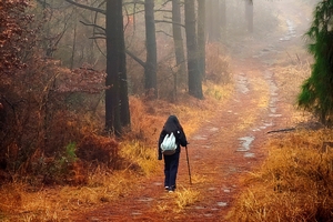 【11.16周日】苏州西山“秋季第一茬野葱自由”“登西山品江南水乡”“赏秋采橘子”7km小环线