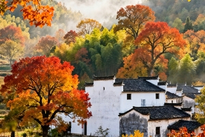 【11.22-11.23】周六日安徽歙县“皖南塔川的秋天”“柿柿如意绝美柿子村”“夜游徽州古城美食街”休闲徒步两日