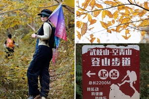 【11.23周日】镇江“空青山*武岐山赏秋” “竹海茶园野葱王基地”“观百年古银杏岁月沧桑”8km环线徒步