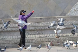 【12.28周日】江苏句容“江南小哀牢山秘境”“遇乾隆六下同款隆昌寺”“山顶亲密投喂七彩鸽”6km轻徒步