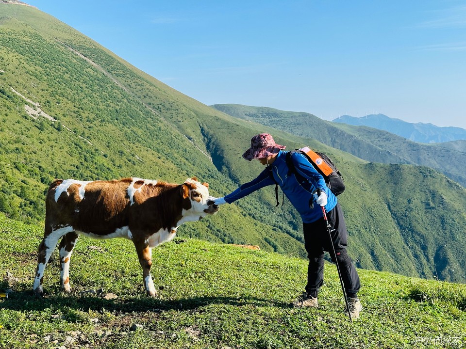 微信图片_20240820095535