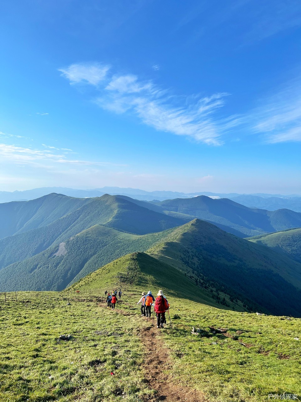 微信图片_20240820095715