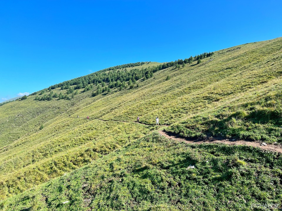 微信图片_20240820095745