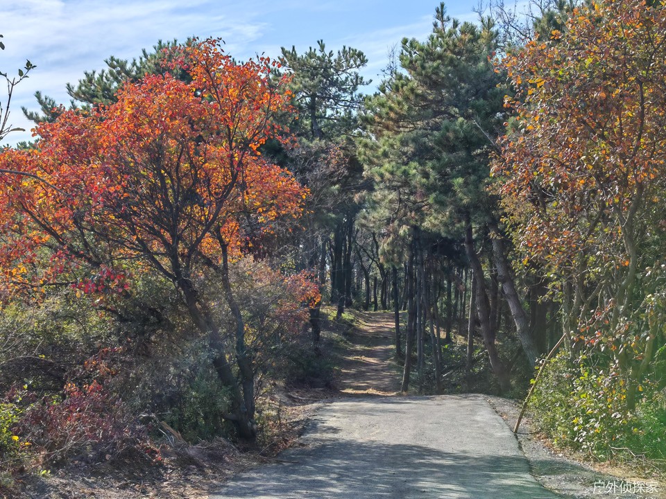 微信图片_20241021214241