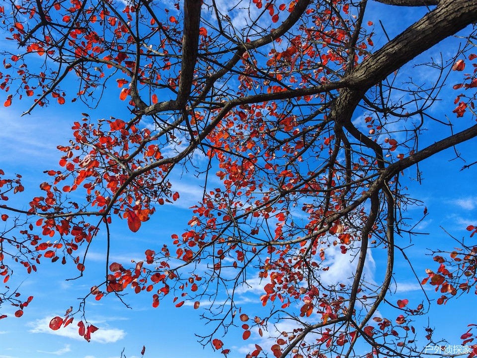 微信图片_20241021214418