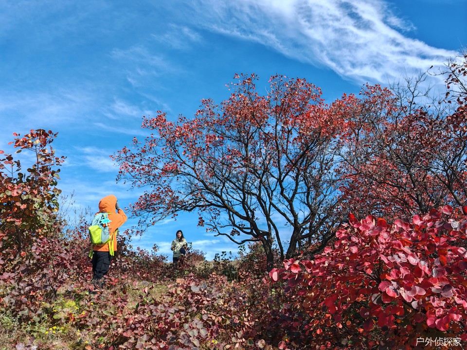 微信图片_20241021214514