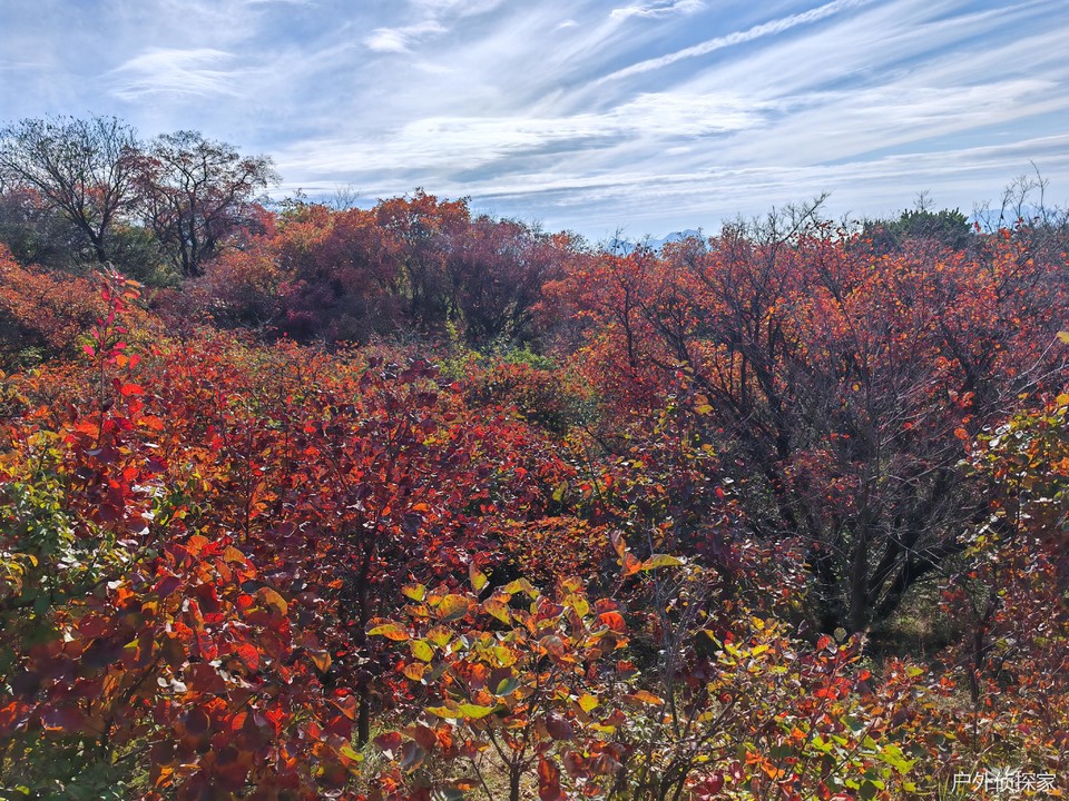 微信图片_20241021214622