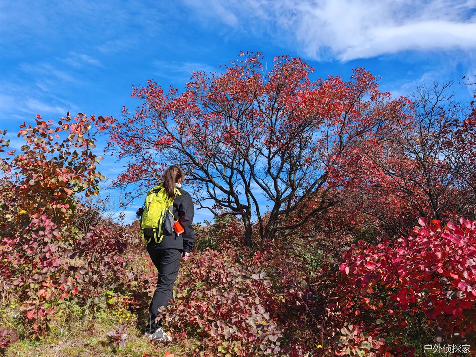 微信图片_20241021214659
