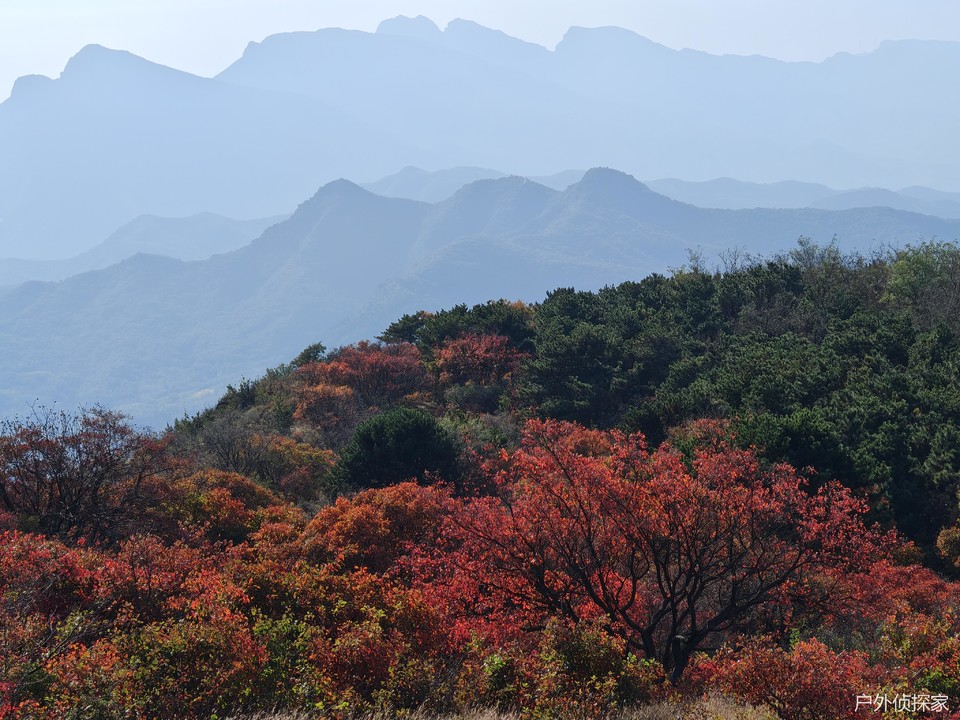 微信图片_20241021214843