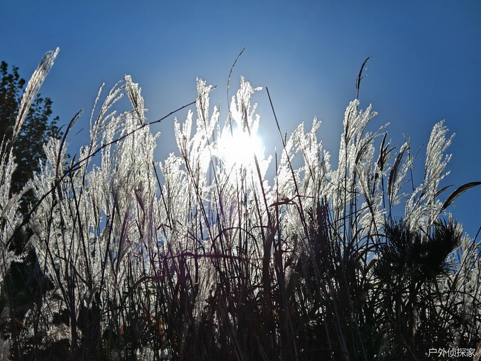 微信图片_20241021215144