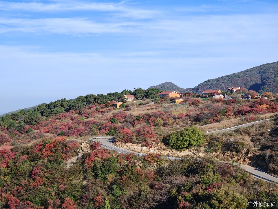 微信图片_20241021215154