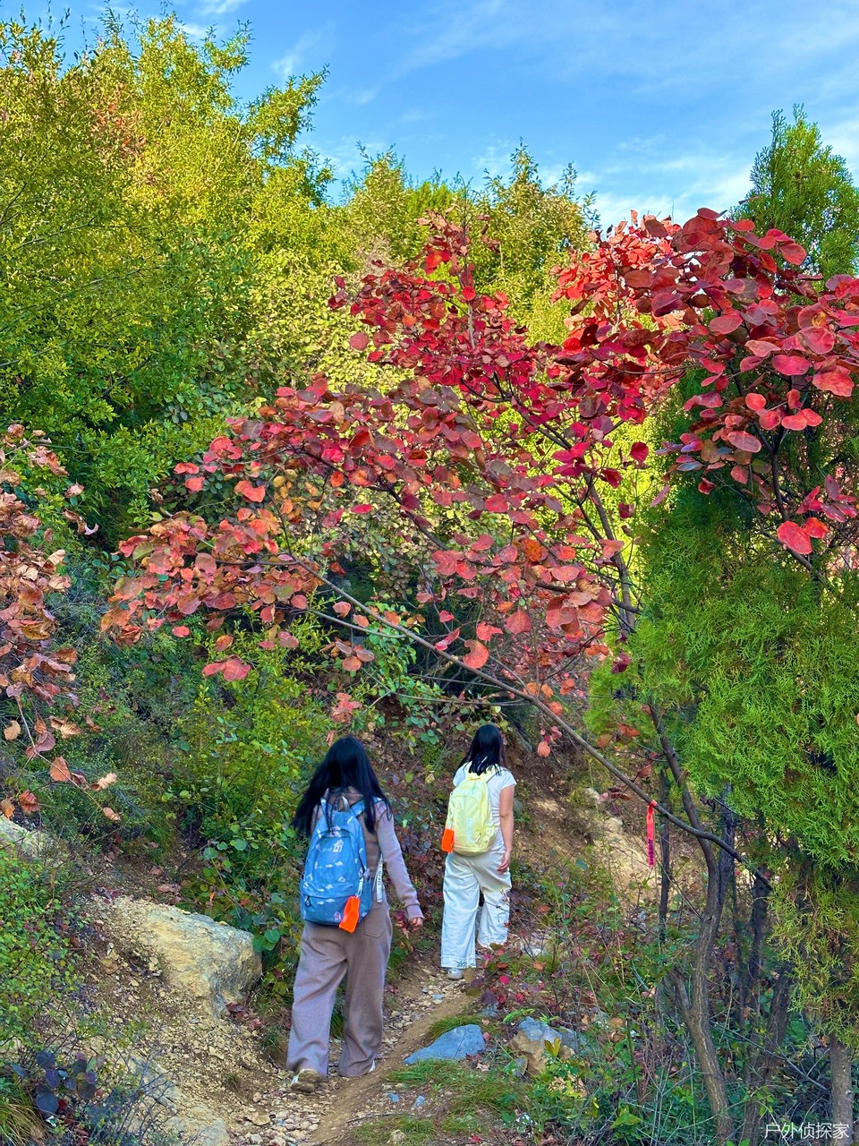 微信图片_20241021210738