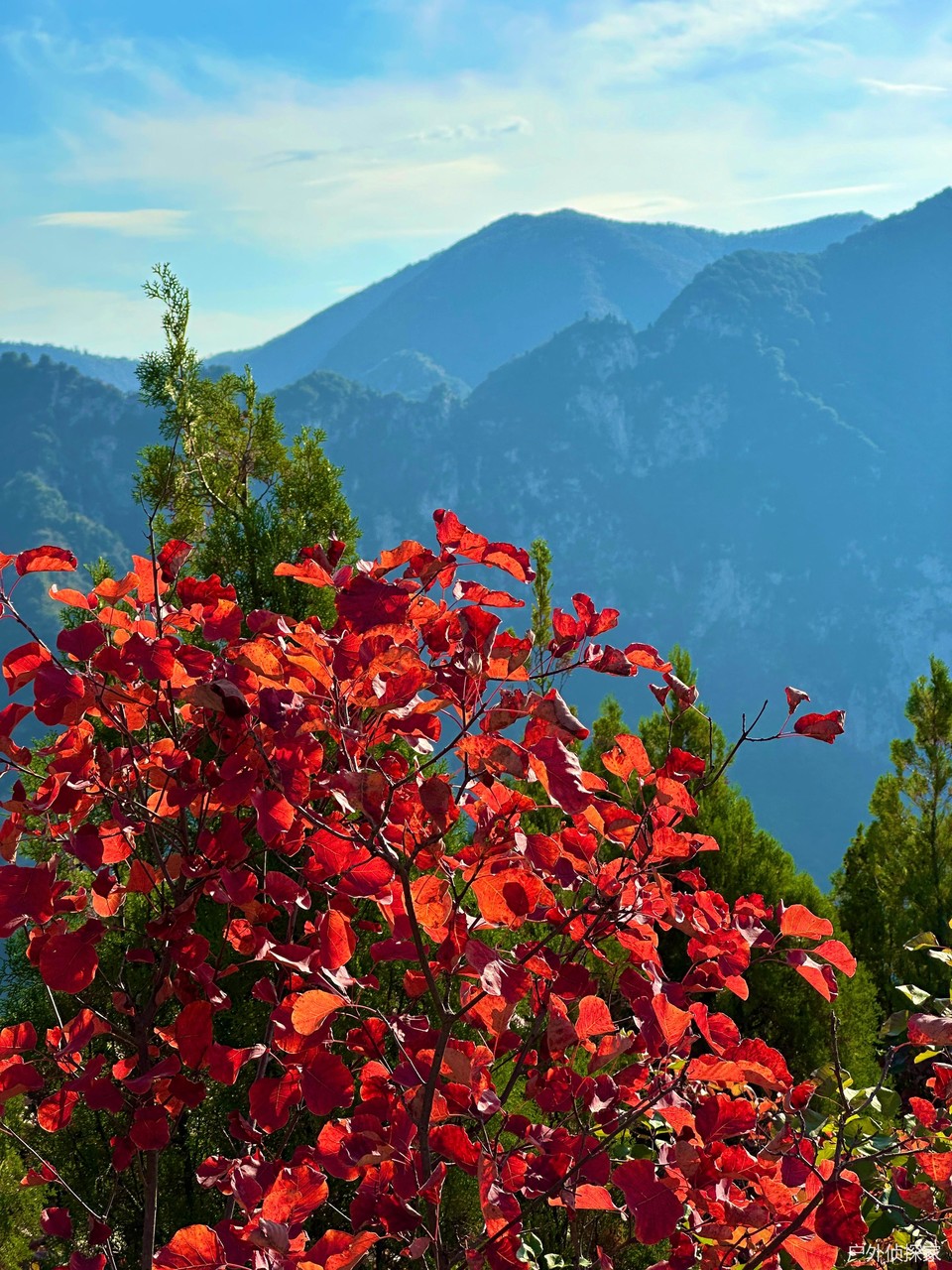 微信图片_20241021210805