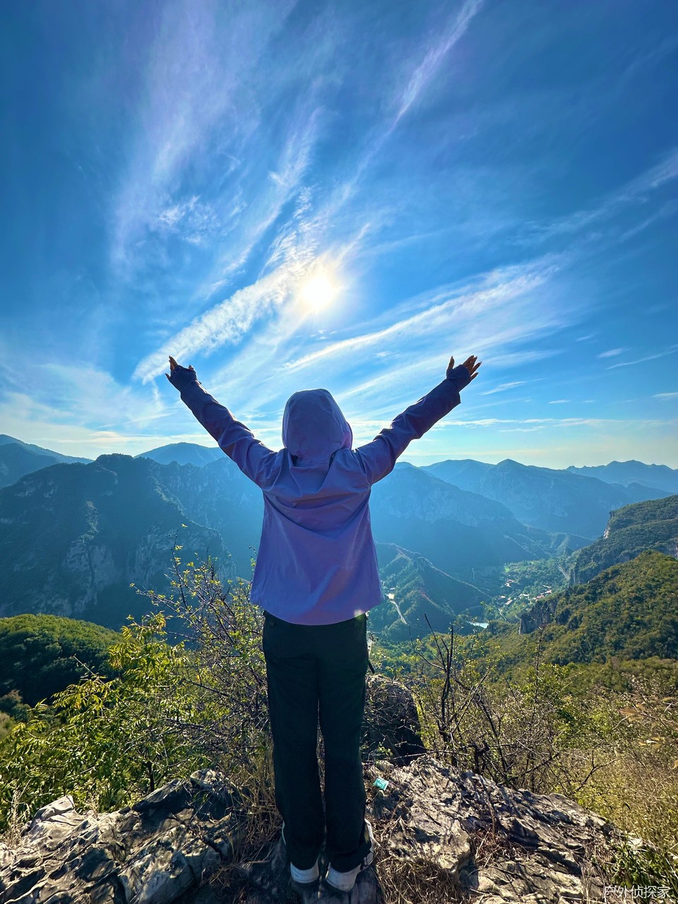 微信图片_20241021210823