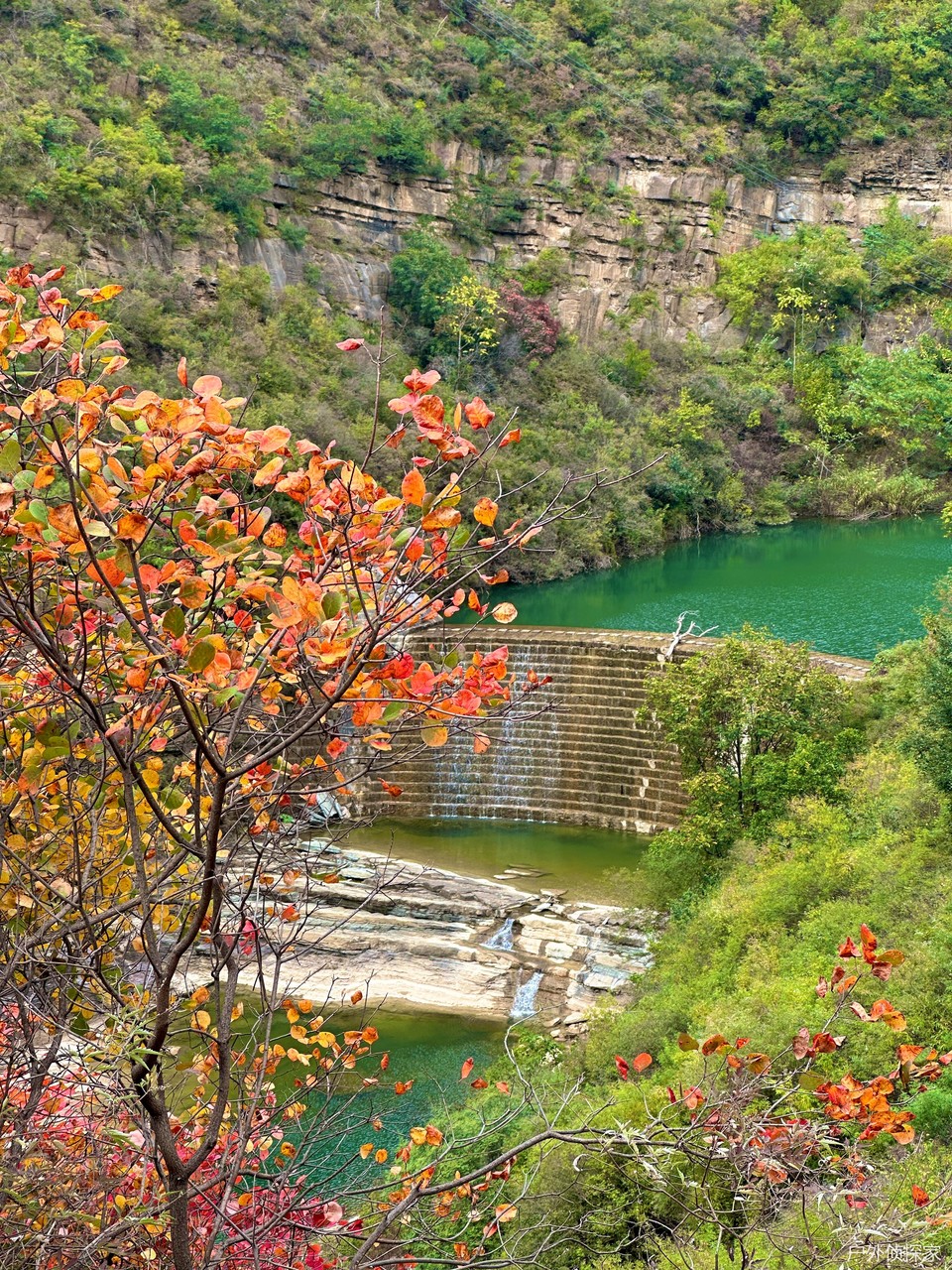 微信图片_20241021210903