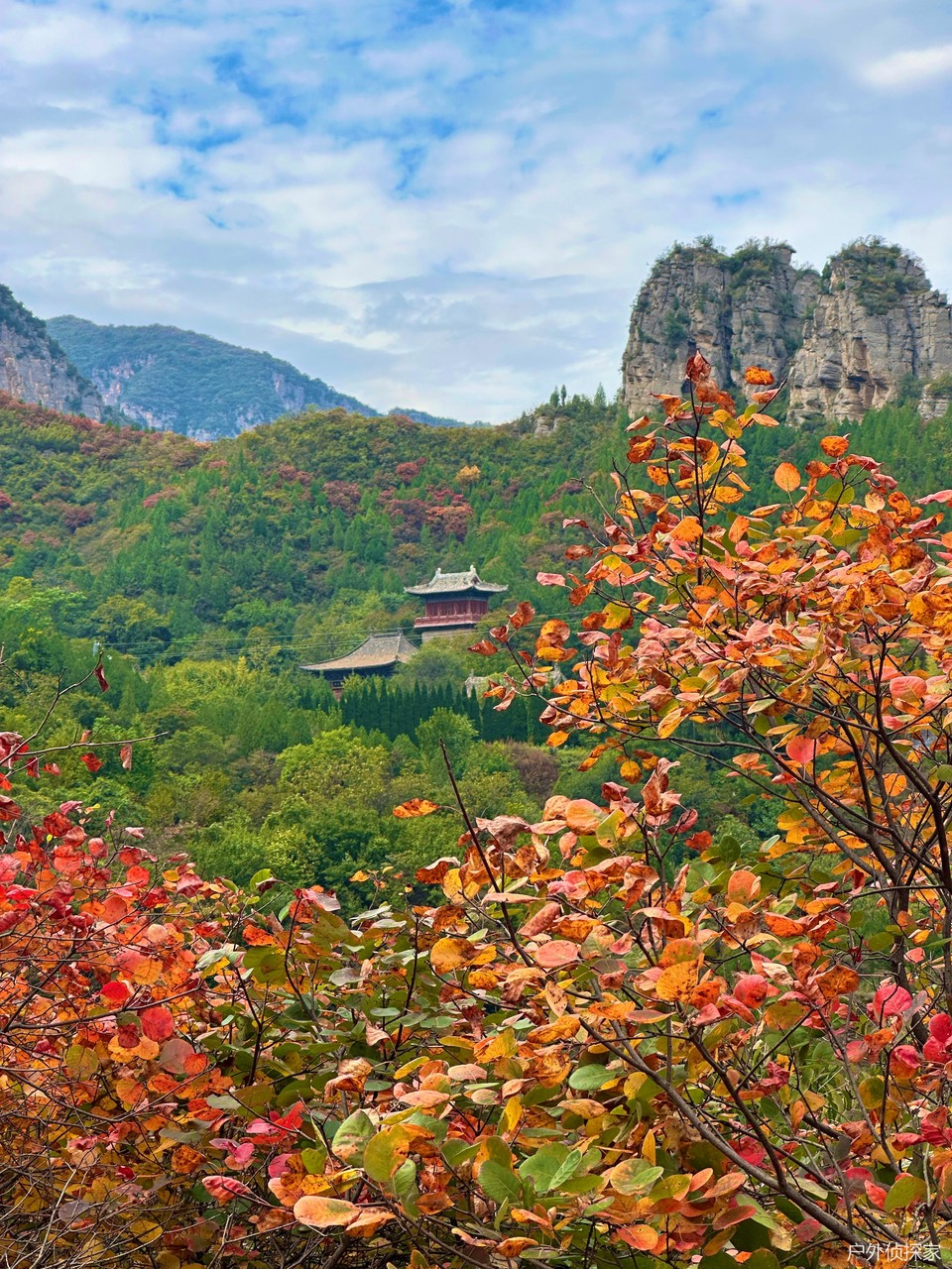 微信图片_20241021210913