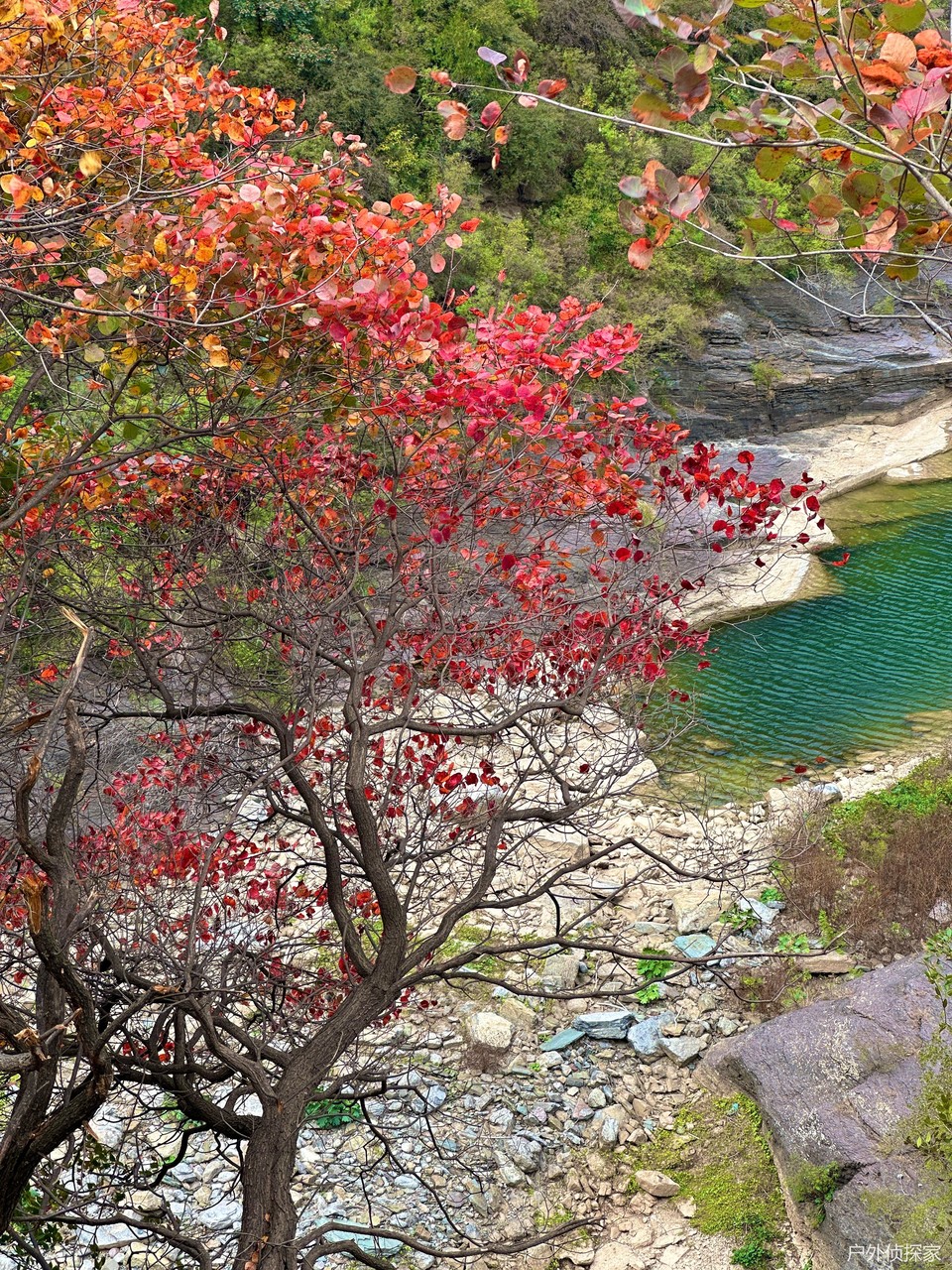 微信图片_20241021210923