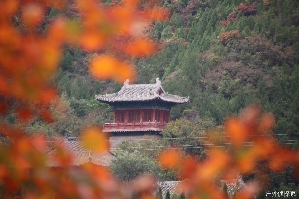 微信图片_20241021211157