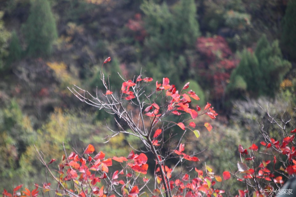 微信图片_20241021211218