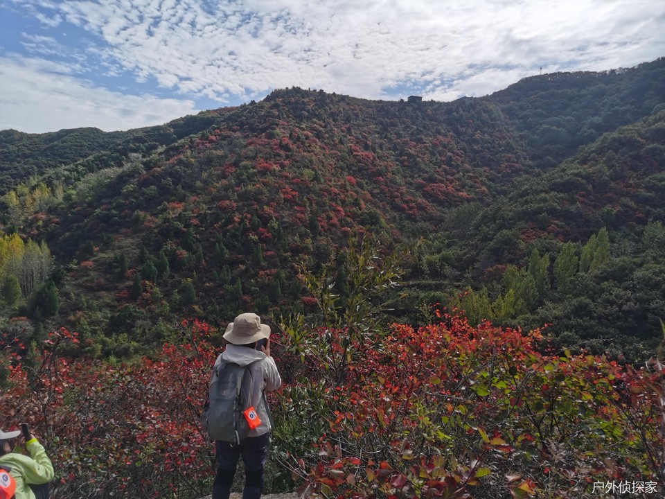 微信图片_20241021211239