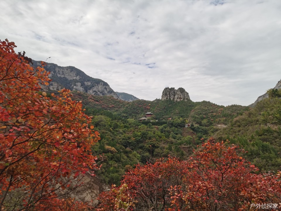 微信图片_20241021211409