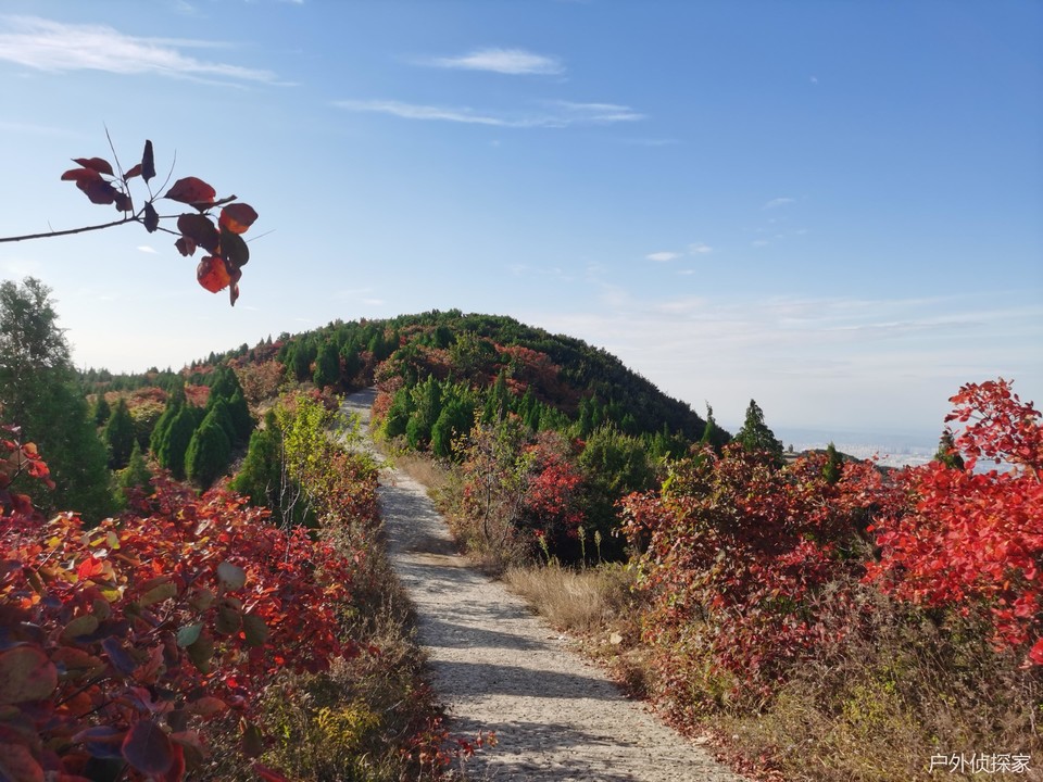 微信图片_20241021211544