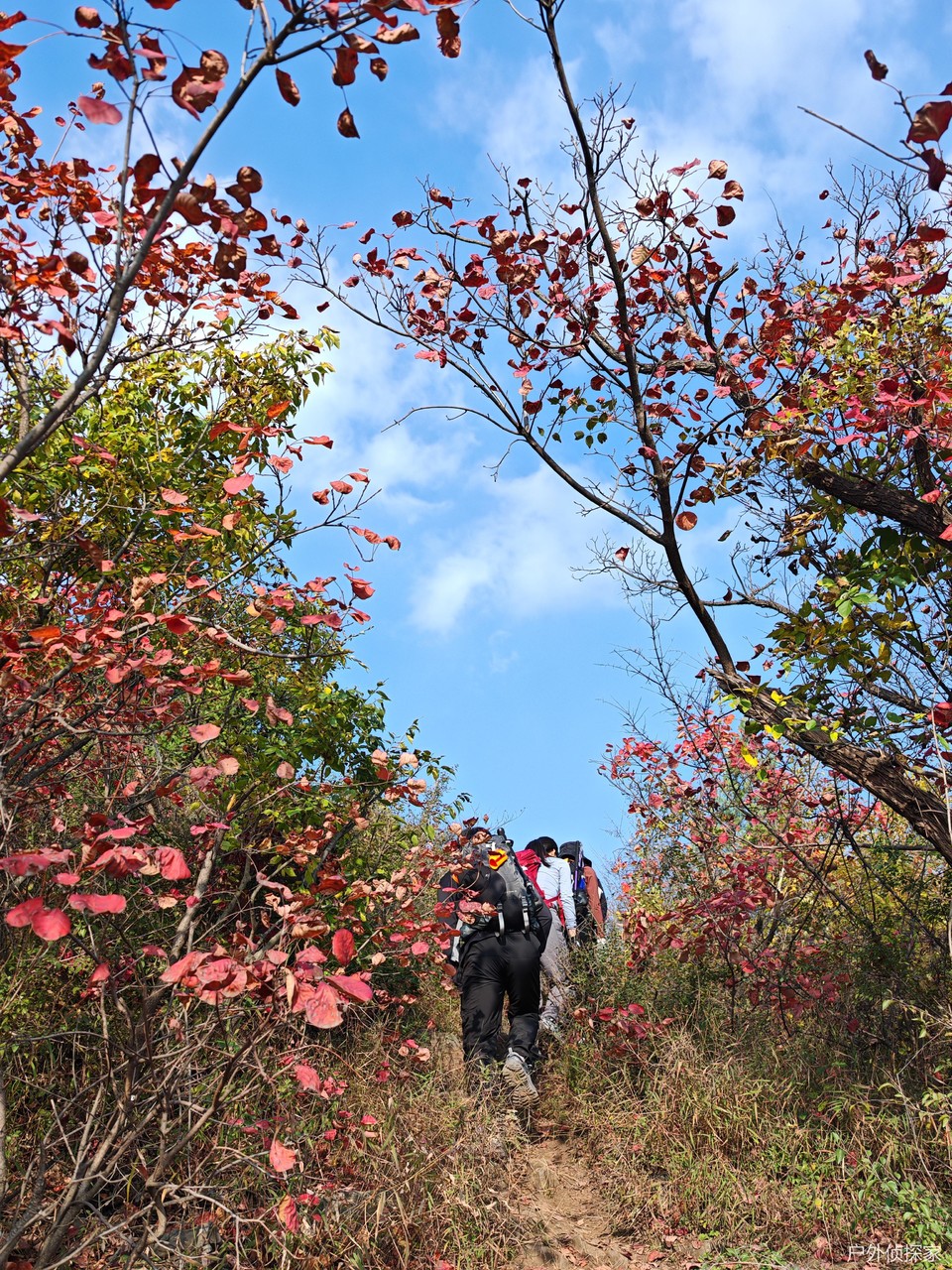 微信图片_20241103093226