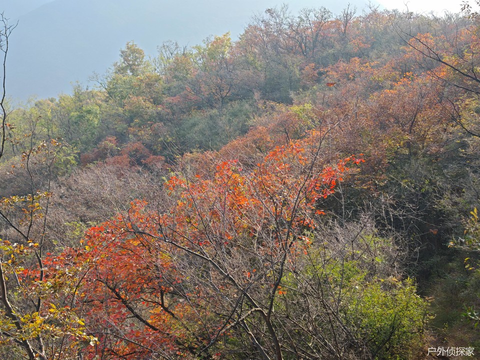 微信图片_20241103093230