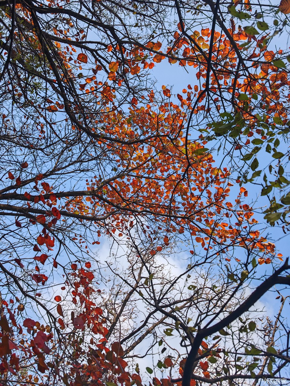 微信图片_20241103093233